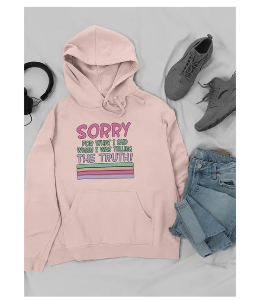 Sorry For What I Said When I Was Telling The Truth Hoodie